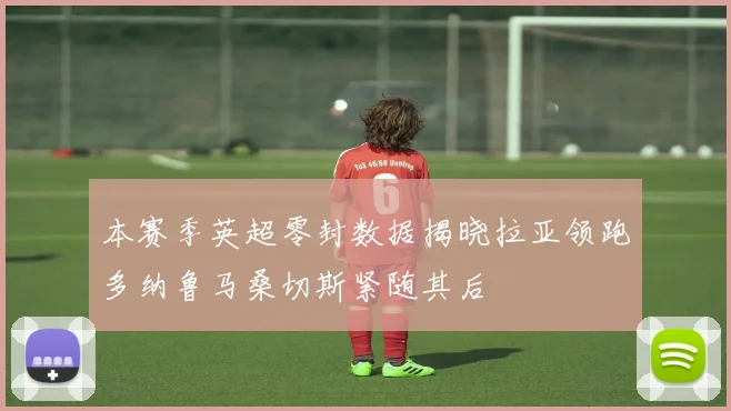 本赛季英超零封数据揭晓拉亚领跑多纳鲁马桑切斯紧随其后